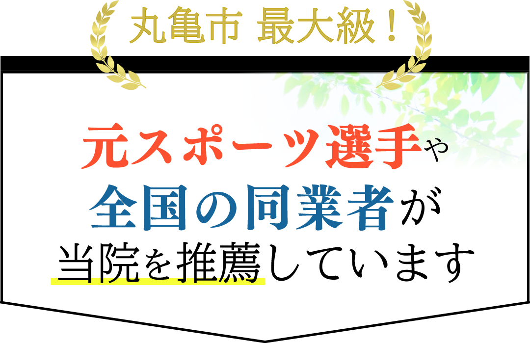 元スポーツ選手や全国の同業者が当院の施術を絶賛しています